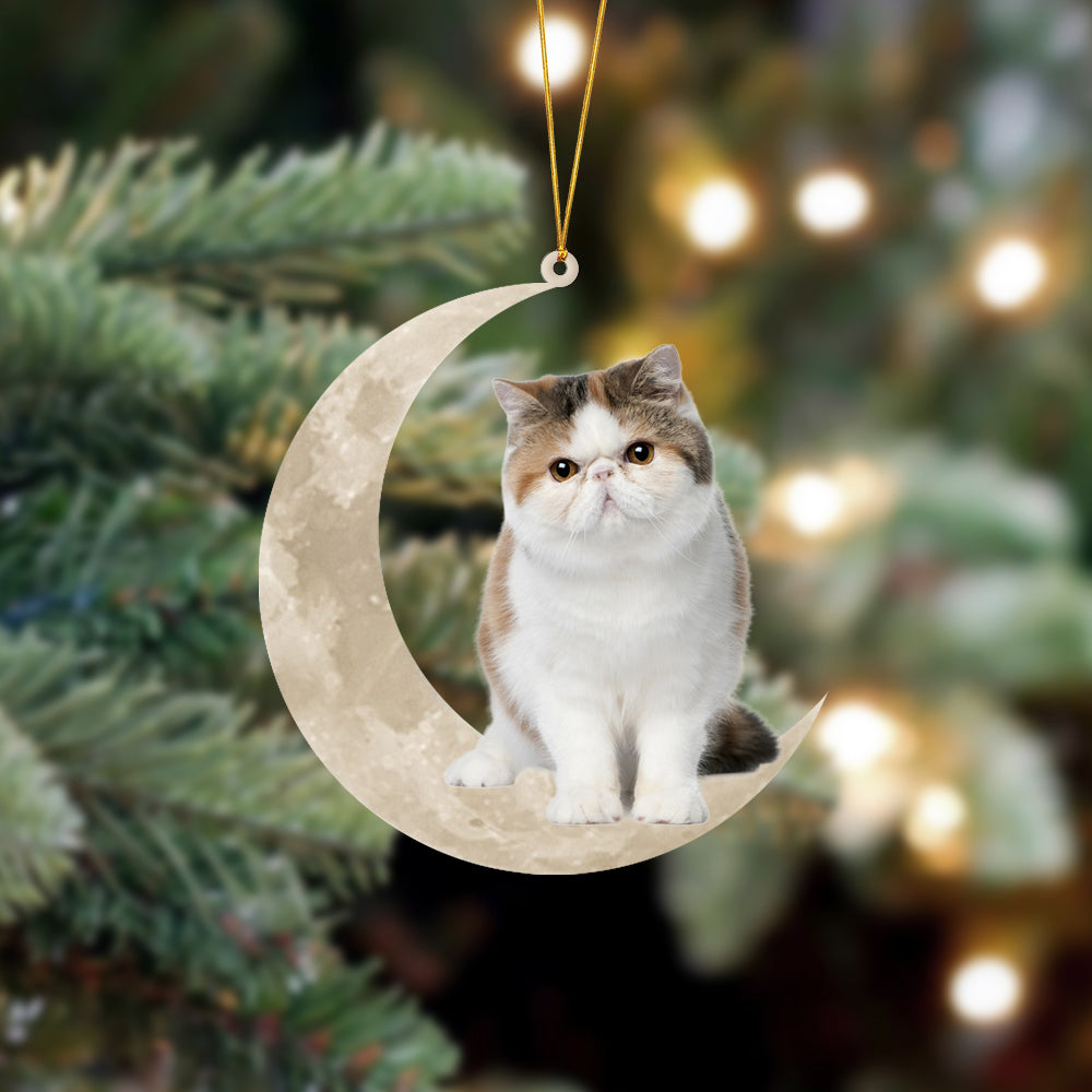 Exotic Shorthair Cat Sits On The Moon - Cat Ornament (Printed On Both Sides) 1022