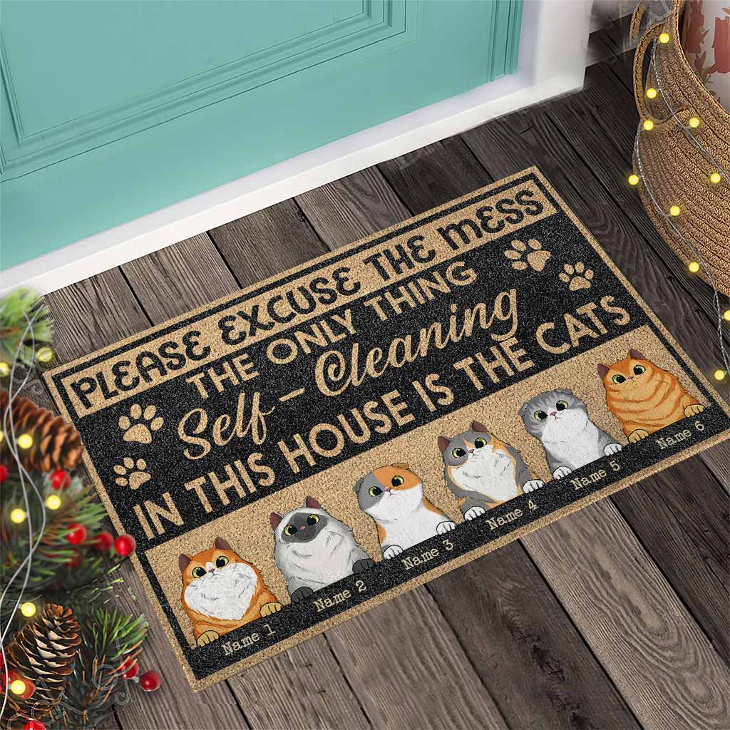 Please Excuse The Mess - Personalized Cat Doormat