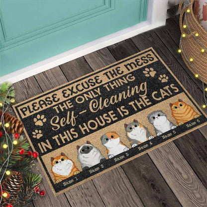 Please Excuse The Mess - Personalized Cat Doormat