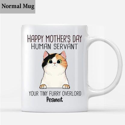 Human Servant - Personalized Cat Mug