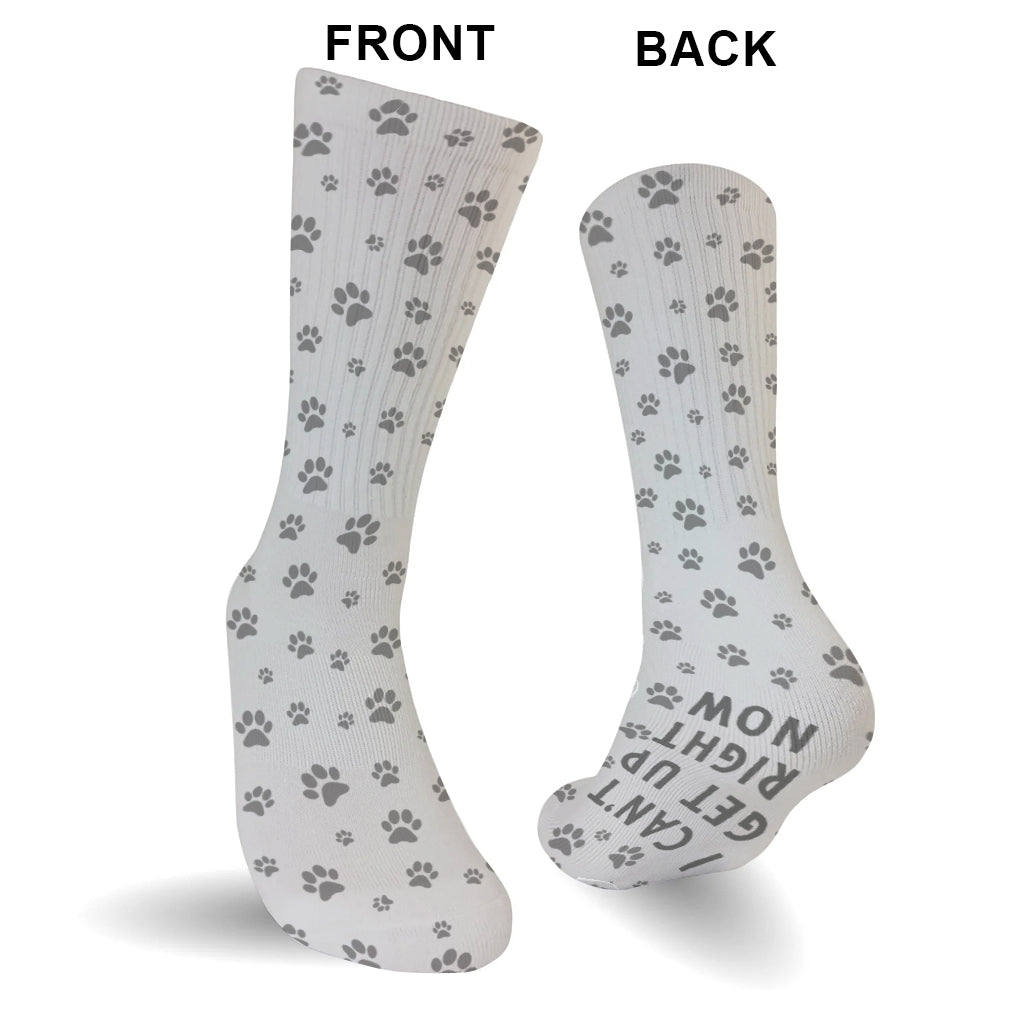 I Can Get Up Right Now - Cat gift for dog lover - Personalized Socks