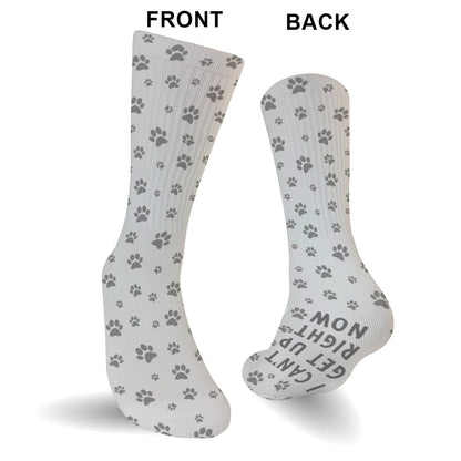 I Can Get Up Right Now - Cat gift for dog lover - Personalized Socks