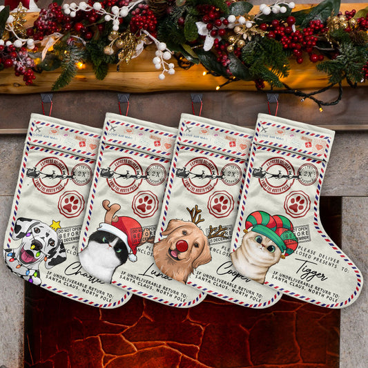 North Pole Express Santa Delivery - Personalized Cat Christmas Stockings