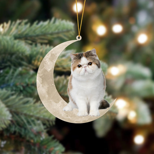 Exotic Shorthair Cat Sits On The Moon - Cat Ornament (Printed On Both Sides) 1022