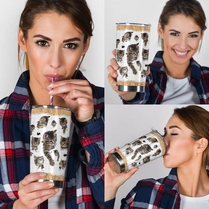 Cats Cat Tumbler 0622
