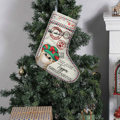 North Pole Express Santa Delivery - Personalized Cat Christmas Stockings
