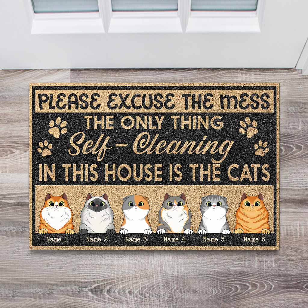 Please Excuse The Mess - Personalized Cat Doormat