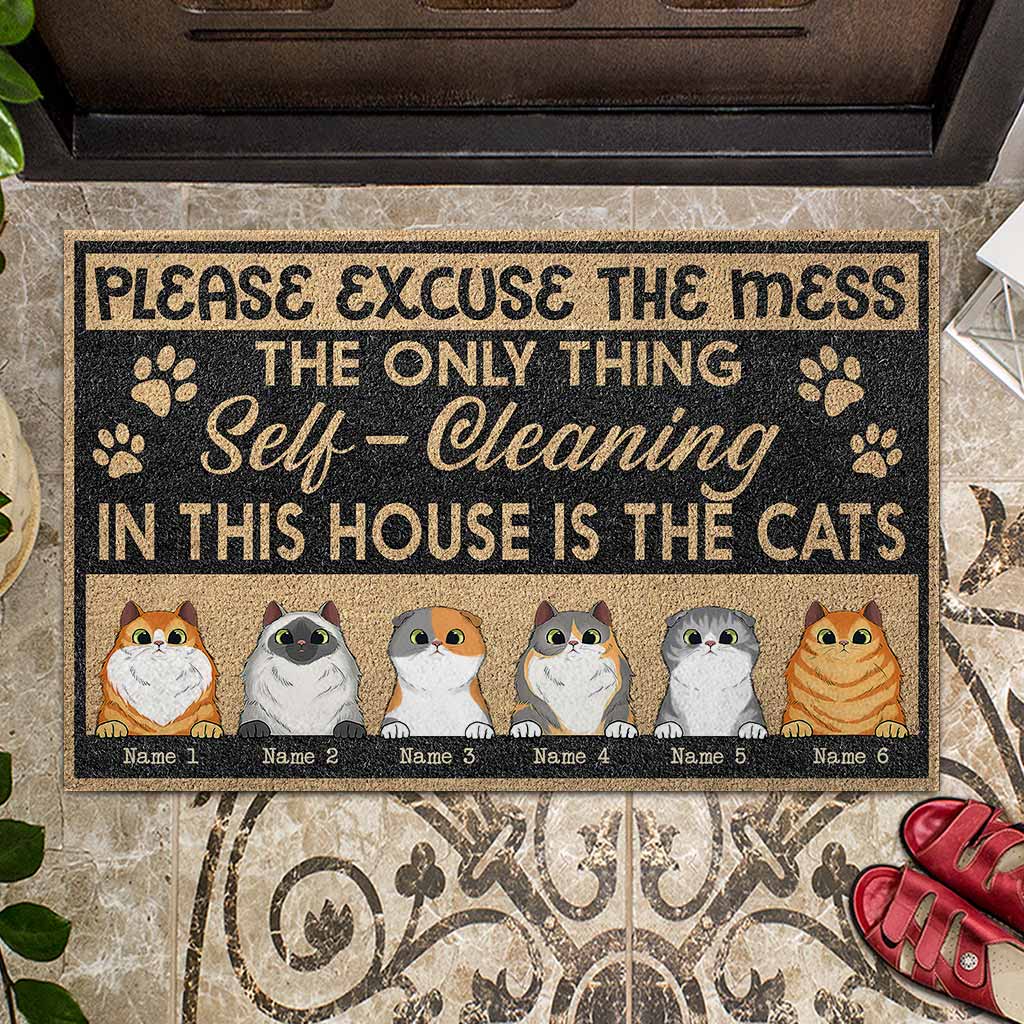 Please Excuse The Mess - Personalized Cat Doormat