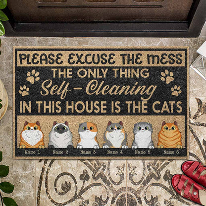 Please Excuse The Mess - Personalized Cat Doormat