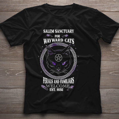 Witch Salem Sanctuary 1692 - Witch T-shirt and Hoodie