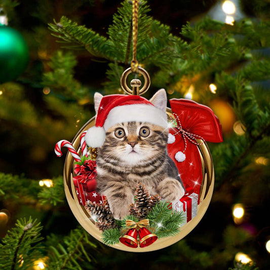 Cat Merry Christmas - Cat Ornament (Printed On Both Sides) 1022