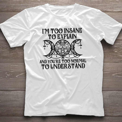 I'm Too Insane To Explain You're Too Normal To Understand - Witch T-shirt and Hoodie