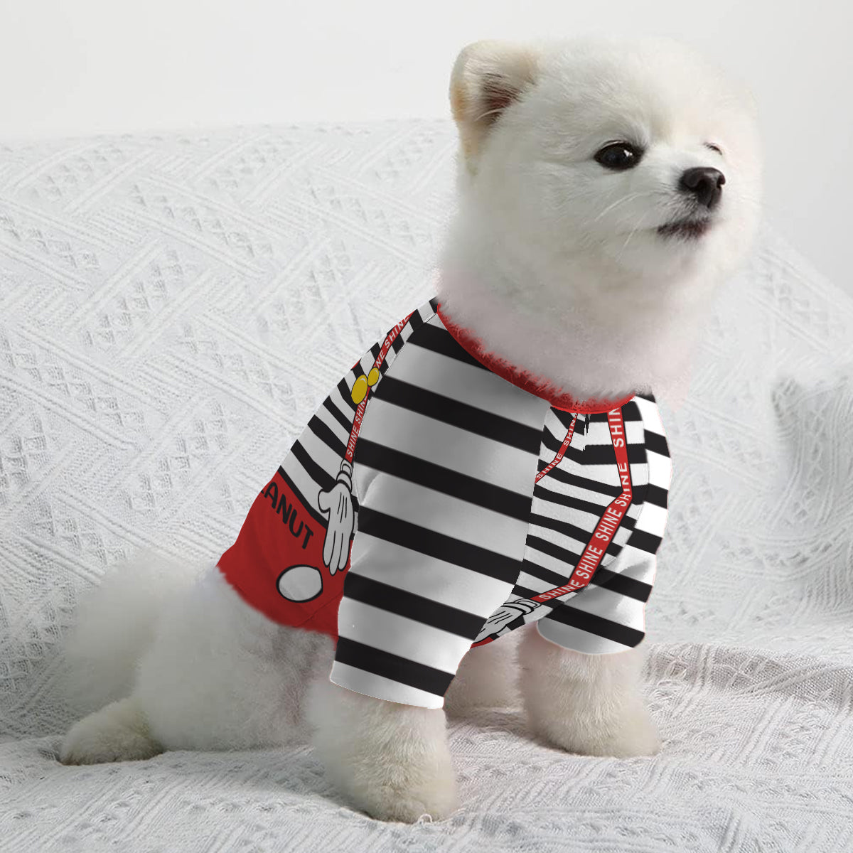 Mouse Ears Halloween Costume For Pet - Personalized Dog Pet Shirt