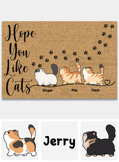 Hope You Like Cats - Personalized Cat Doormat