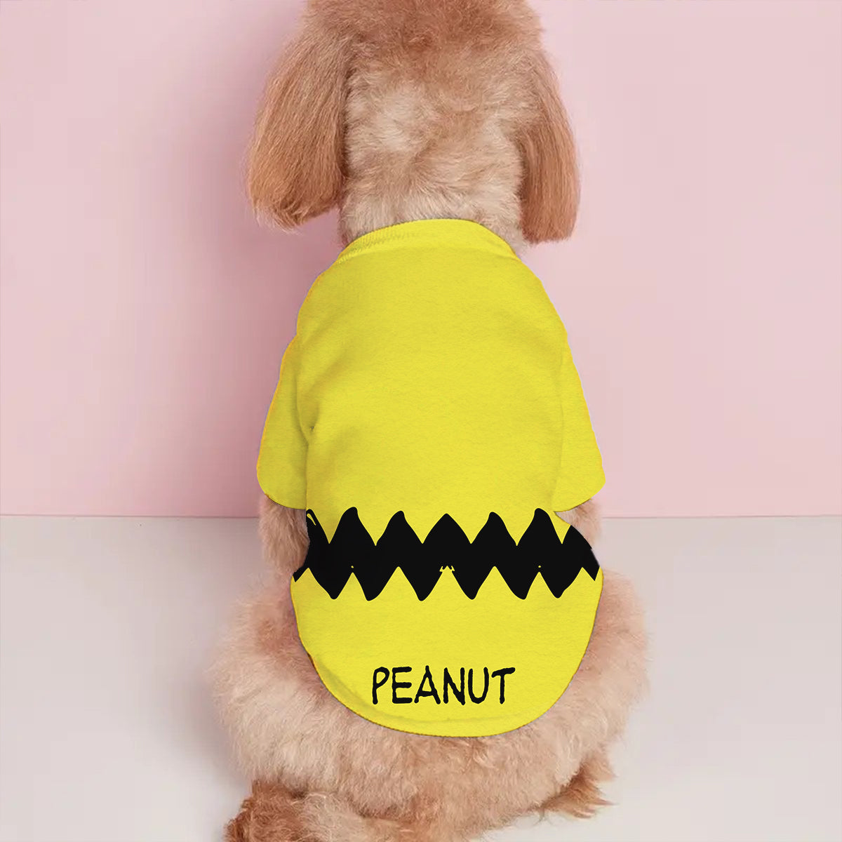 Charlie Brown Costume - Personalized Pet Shirt