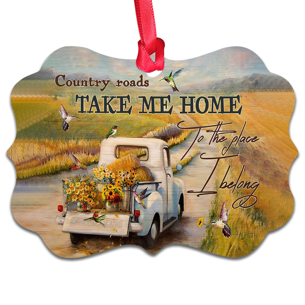 Hummingbird Country Roads Take Me Home Hummingbird - Medallion Aluminium Ornament (Printed On Both Sides) 1122