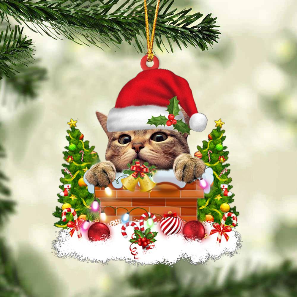 Cat In The Chimney - Cat Ornament (Printed On Both Sides) 1022