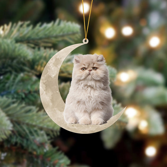 Persian Cat Sits On The Moon - Cat Ornament (Printed On Both Sides) 1022